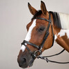 Flat Leath Bridle With Snap Hooks Black Full WC
