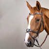 Working Motion Bridle  Brown  Pony WBD