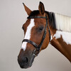 Cavesson Hunter noseb Bridle Black Pony HC