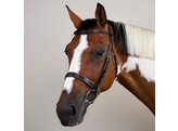 Cavesson Hunter noseb Bridle Black Pony HC