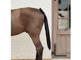 Tailguard / Tailbag