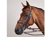 DC.Double Bridle Flash Noseband Brown Over