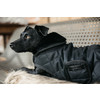 Dog coat original black/black dachshund 40cm