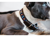 Dog collar handmade pearls blue XS 37cm