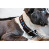 Dog collar handmade pearls blue XL 71cm