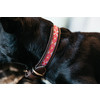 Dog collar handmade pearls pink M/L 58cm