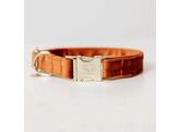 Dog Collar velvet orange L 42-68cm